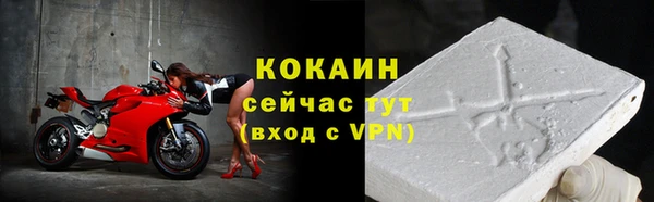 тгк Алзамай